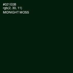 #021E0B - Midnight Moss Color Image
